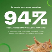 Graminha Mister para Gatos