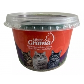Graminha Mister para Gatos